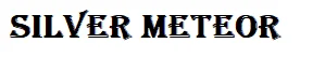 Silver Meteor Logo